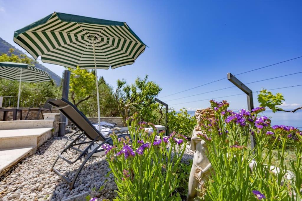 Kety With Pool Makarska
